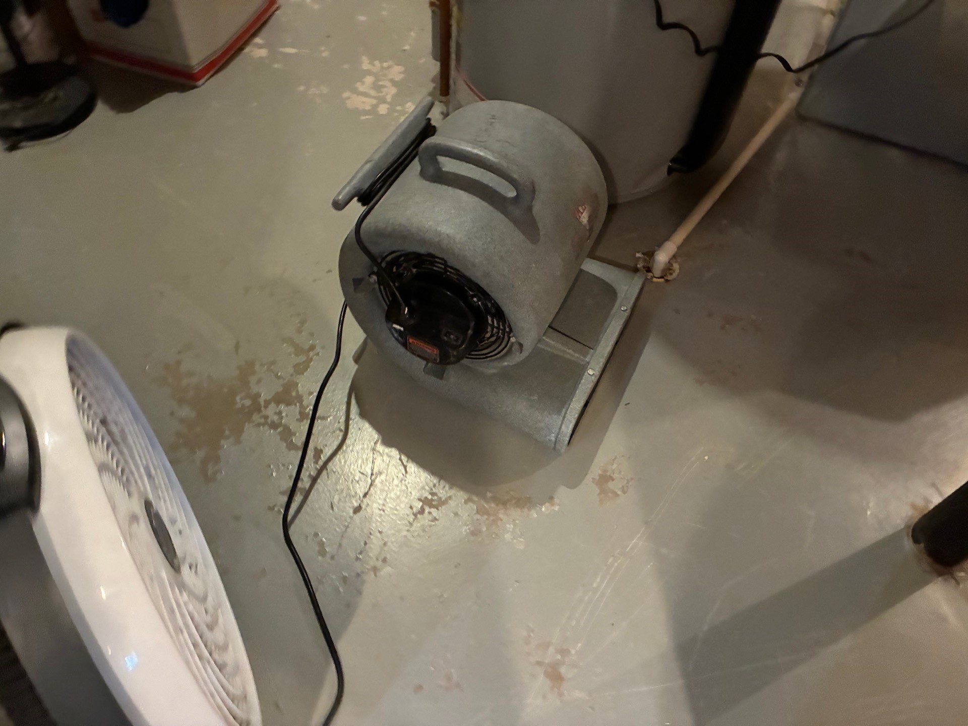 Professional water damage mitigation project in Ann Arbor