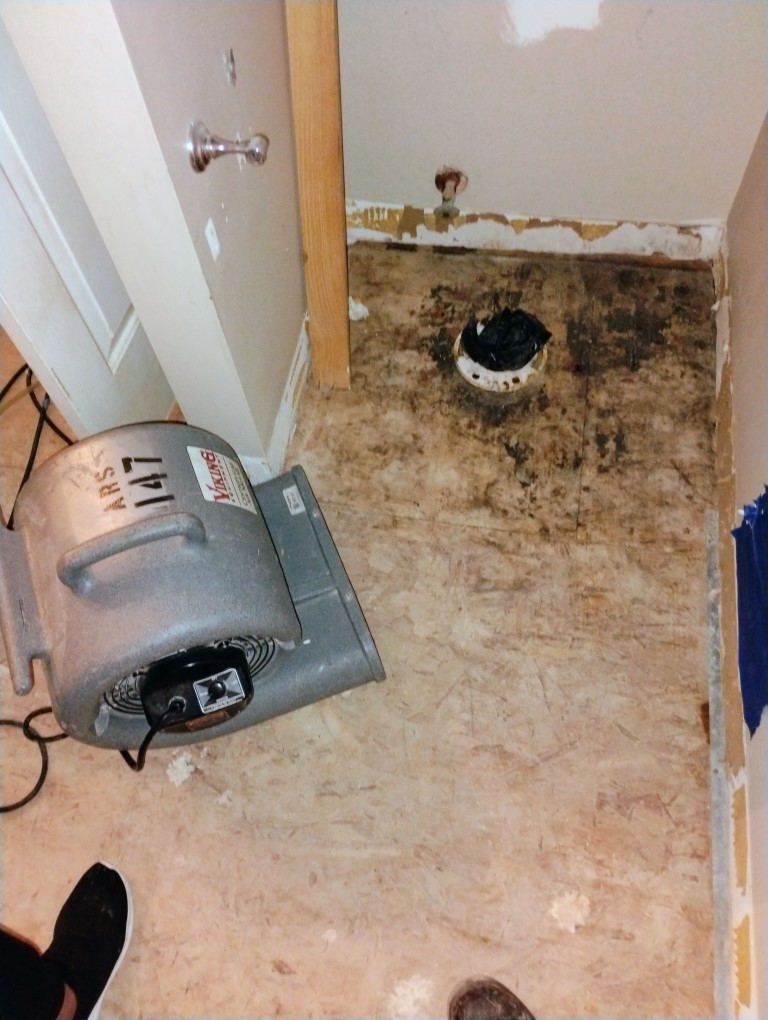 Water damaged bathroom during restoration in Southeast Michigan