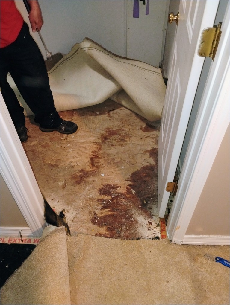 Bathroom water damage restoration project in Ypsilanti Michigan